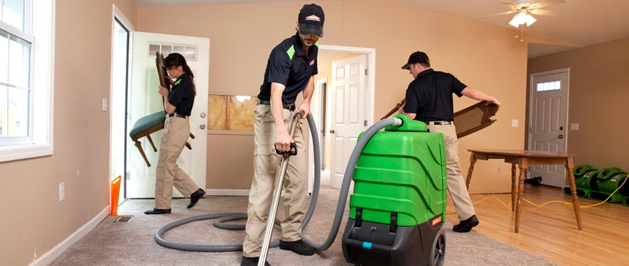Houston Heights, TX cleaning services